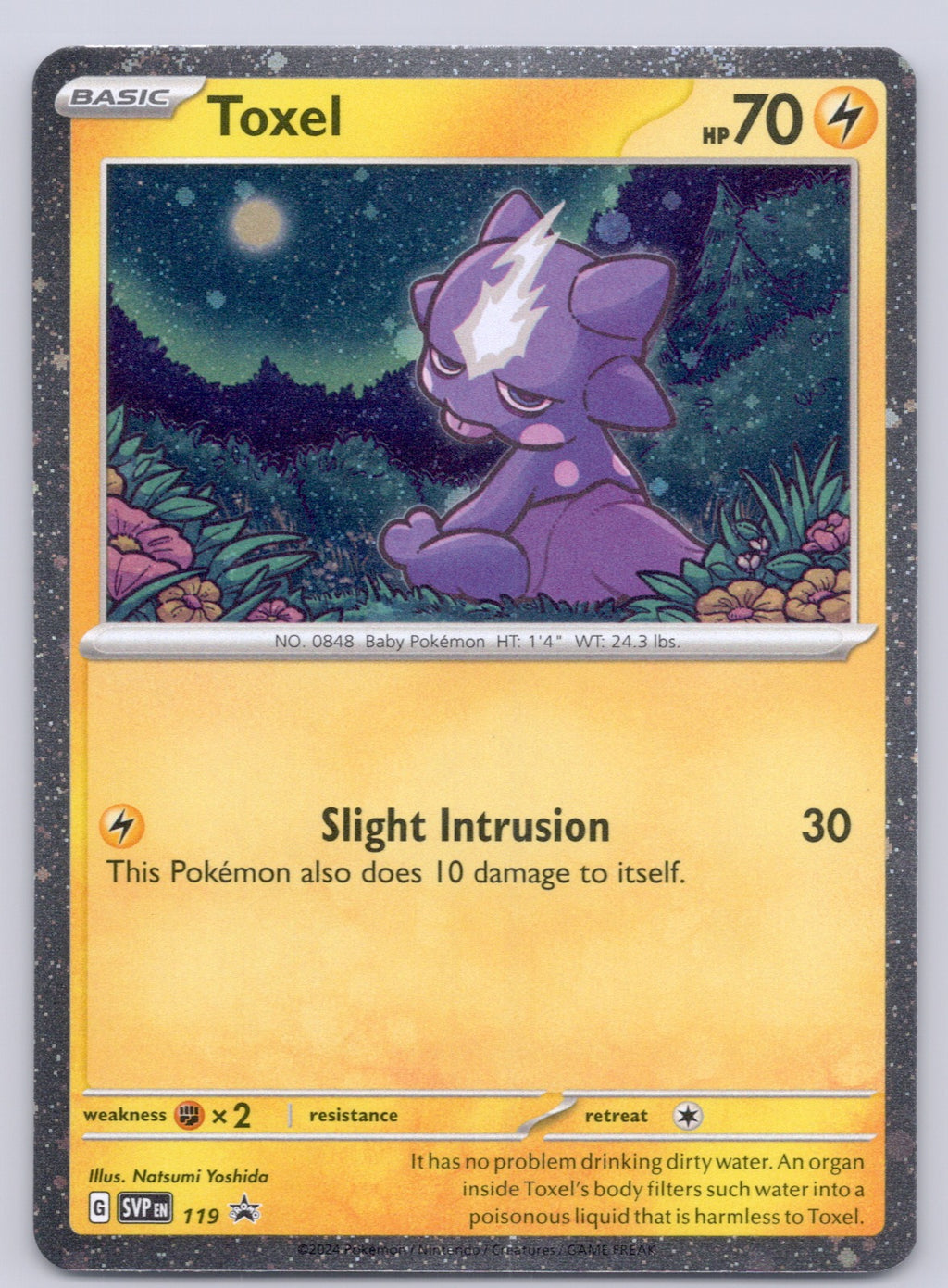 Toxel - 119/SVP Promo NM - SV: Scarlet & Violet Promo Cards