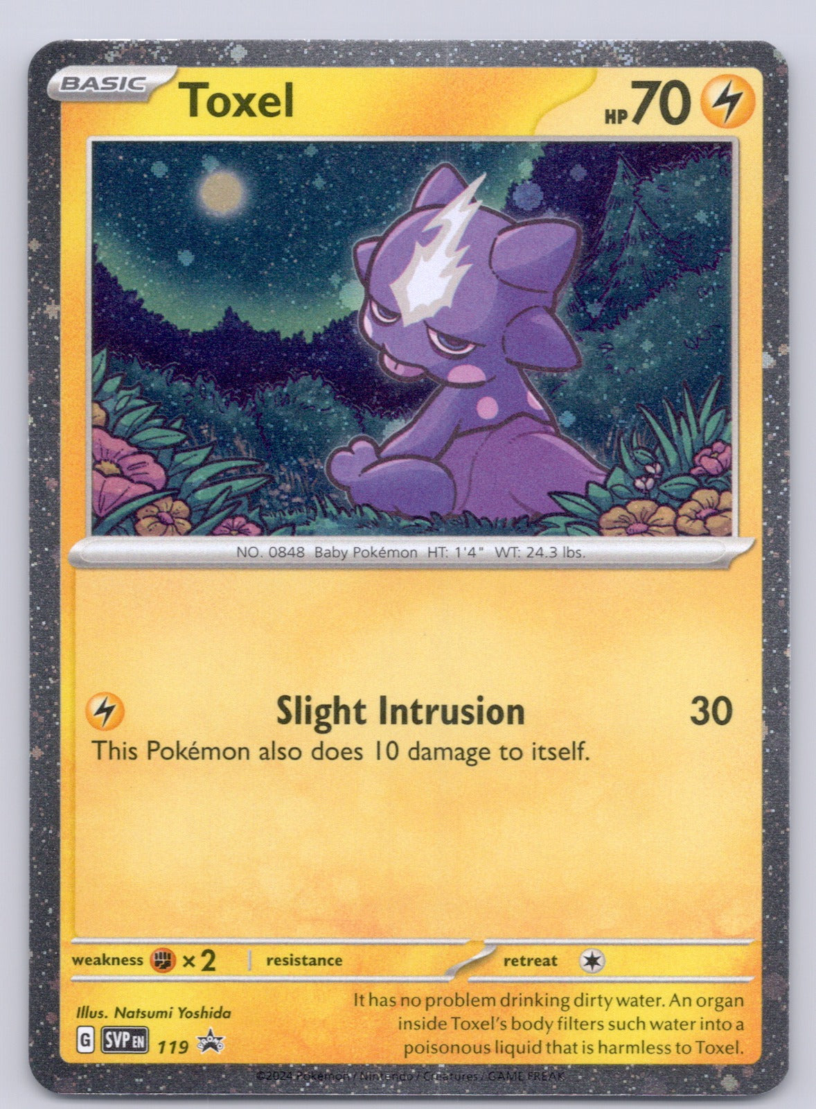Toxel - 119/SVP Promo NM - SV: Scarlet & Violet Promo Cards